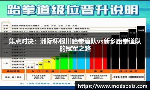 焦点对决：洲际杯银川跆拳道队vs新乡跆拳道队的冠军之路
