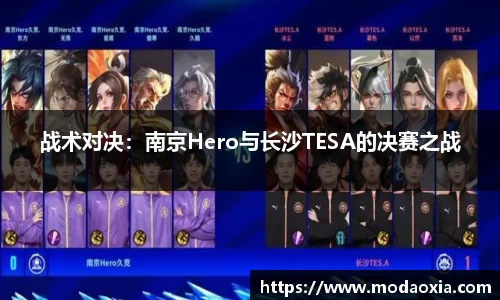 战术对决：南京Hero与长沙TESA的决赛之战