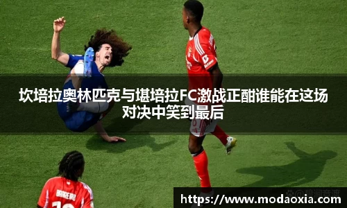 球王会体育