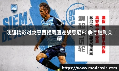 球王会体育