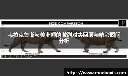 球王会官方网站